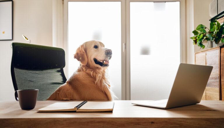 Balancing Work and Pet Care: Time Management Tips for Busy Pet Owners